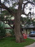 Our guest house