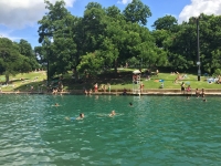 Natural Springs of Barton Creek