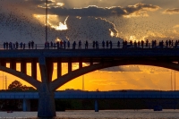 Congress Avenue Bats