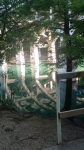 Amazing reflection