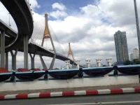 Decrative and functional suspention bridges