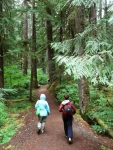 The trail