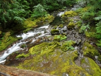 Picturesque stream