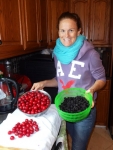 The picked fruit