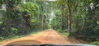 Red Dirt Road