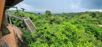 View from the Top