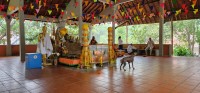 Buddha Shrine