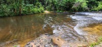 Kbal Spean River Flowing over a Thousand Lingas