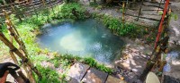Sacred Spring