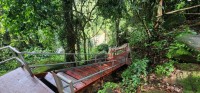Stairs Down to the Lower Waterfall
