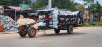 Another Iron Buffalo