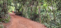 Path to Phnom Bakheng
