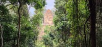 Baksei Chamkrong