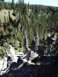 Pinnacles and trees