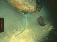 Underwater Stream Like Channel