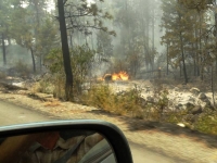 Flames along the road
