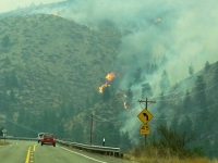 Flames on the hillside