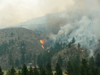 Flames over the hill