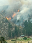 Flames above houses