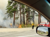 Firefighters