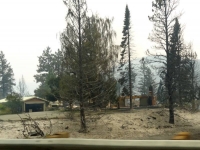 Burned House