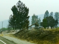 Burned power pole