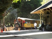 Roaring Camp Train