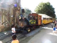 Roaring Camp Engine