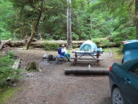 Colonial Creek Campsite