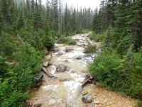 Cutthroat Creek