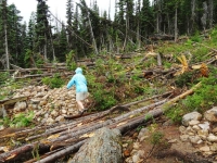 Nan walking across Avalanche