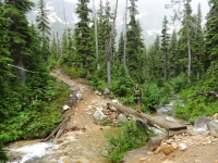 Neil crossing Cutthroat Creek