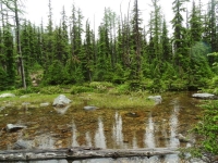 Cutthroat Creek exiting the Lake