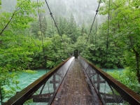 Suspension Bridge