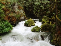 Ladder Creek