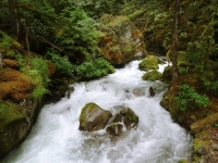 Ladder Creek Gorge