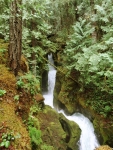 Ladder Creek Falls