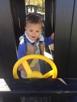 Madden Shelton