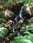 Trillium Falls