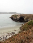 Mendocino Headlands Point