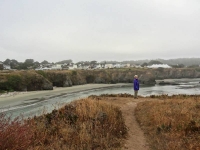 Mendocino Village