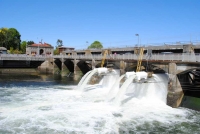 Smolt Flumes