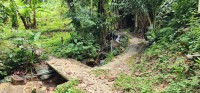 Path Over the Stream