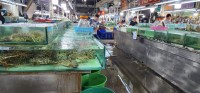 Fresh Lobster at Market