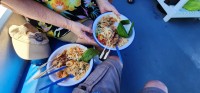 Lunch Plates
