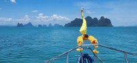 Bow of the boat