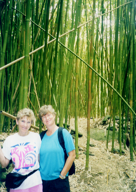 Audrey and Nan hiking in bamboo forest