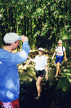 In the bamboo forest