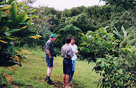 Walking over the farm