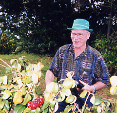 The Ohio Farmer and Jerusalem Cherries